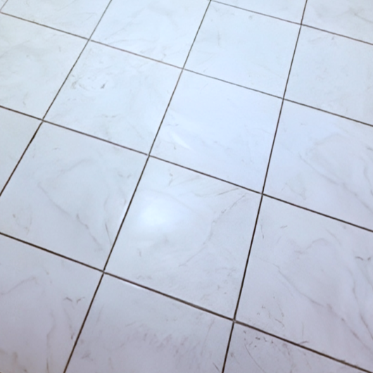 Viena Bianco Calacata White